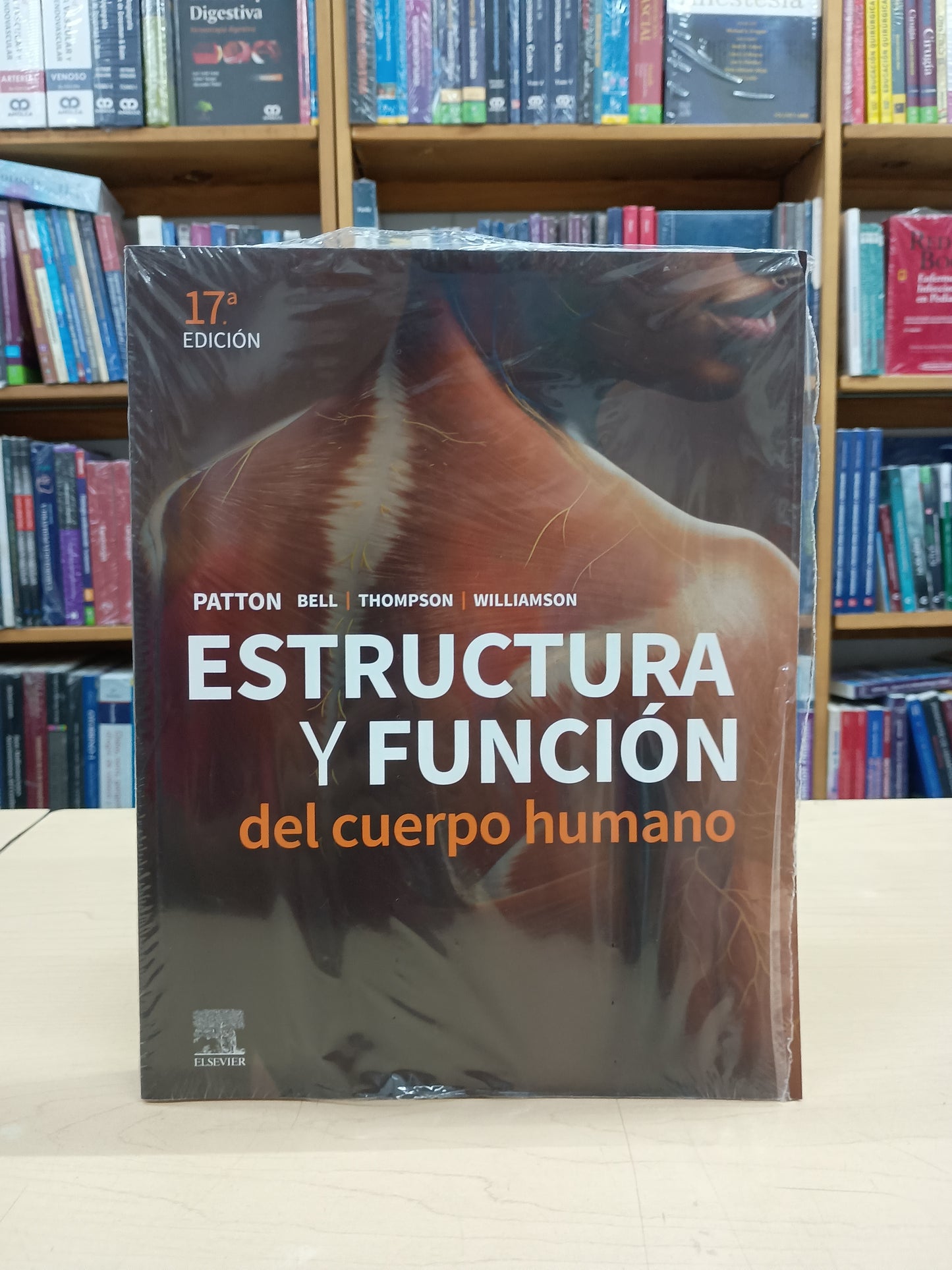 Estructura y Función del Cuerpo Humano